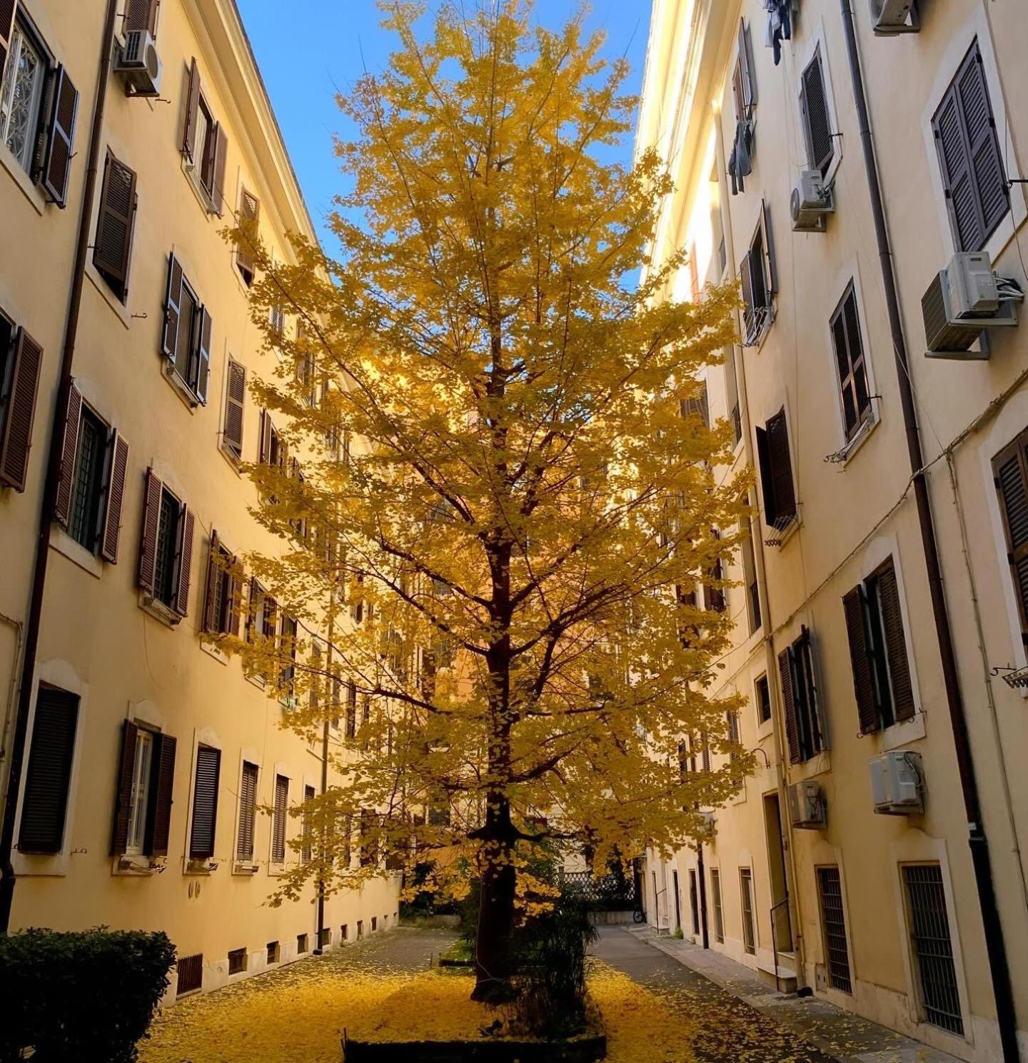 La Spezia 28 Royal — Foto 2